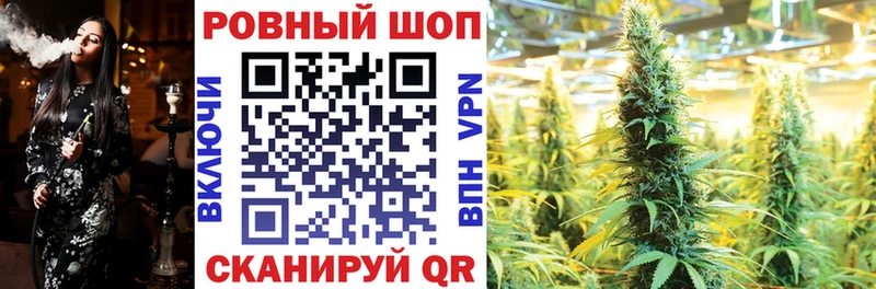 Сколько стоит Городовиковск A-PVP  Галлюциногенные грибы  COCAIN  Бошки Шишки  БУТИРАТ  АМФЕТАМИН 