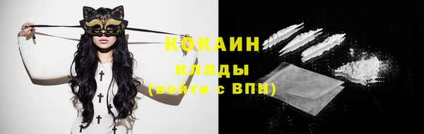 кокс Баксан
