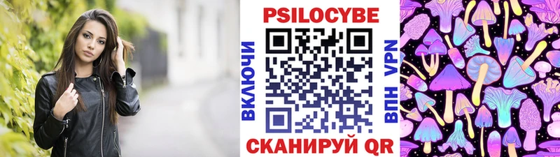где купить наркоту  сайты даркнета наркотические препараты  Псилоцибиновые грибы Psilocybine cubensis  Городовиковск 